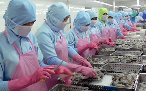 Tìm thêm sản phẩm xuất khẩu thủy sản chủ lực ảnh 1